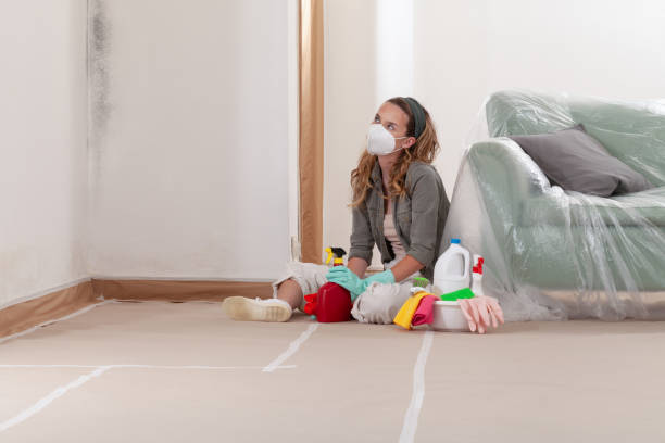 Reliable Mold Testing contractor in Linkwood, MD by WQB Mold Removal